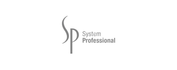 System Professional