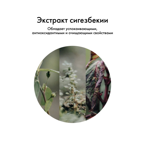 Kydra Le Salon Подготовительный технический шампунь для волос с экстрактом Сигезбекии Pre-Technique Alkaline pH Shampoo, 1000 мл купить - 3