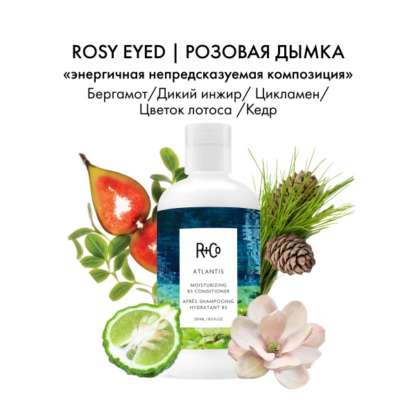 R+Co Кондиционер для увлажнения с витамином Атлантида В5 Atlantis Moisturizing B5 Conditioner, 251 мл купить - 3