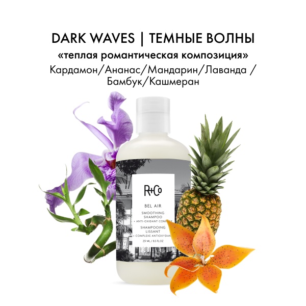 R+Co Шампунь для разглаживания с антиоксидантным комплексом Бэль Эйр Bel Aair Smoothing Shampoo + Anti-Oxidant Complex, 251 мл купить - 3