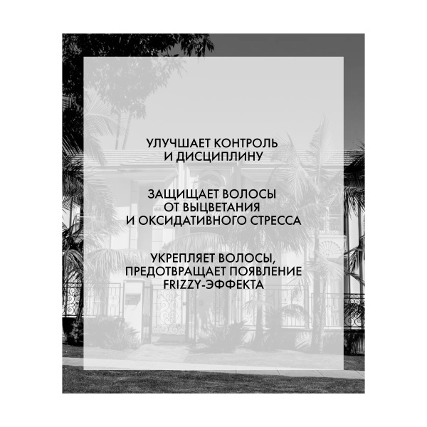 R+Co Шампунь для разглаживания с антиоксидантным комплексом Бэль Эйр Bel Aair Smoothing Shampoo + Anti-Oxidant Complex, 1000 мл купить - 2