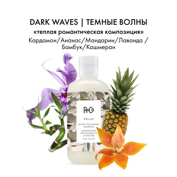 R+Co Шампунь с биотином для объема Далас Dallas Biotin Thickening Shampoo, 251 мл купить - 3