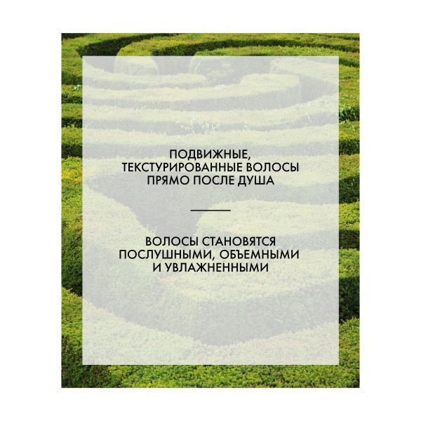 R+Co Шампунь + кондиционер + текстурайзер Лабиринт 3-в-1 Labyrinth Texturizing Shampoo + Conditioner + Styler, 177 мл купить - 2