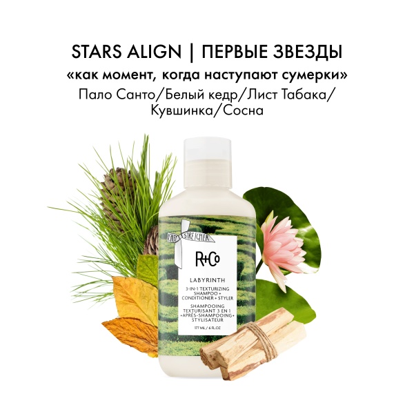 R+Co Шампунь + кондиционер + текстурайзер Лабиринт 3-в-1 Labyrinth Texturizing Shampoo + Conditioner + Styler, 177 мл купить - 3