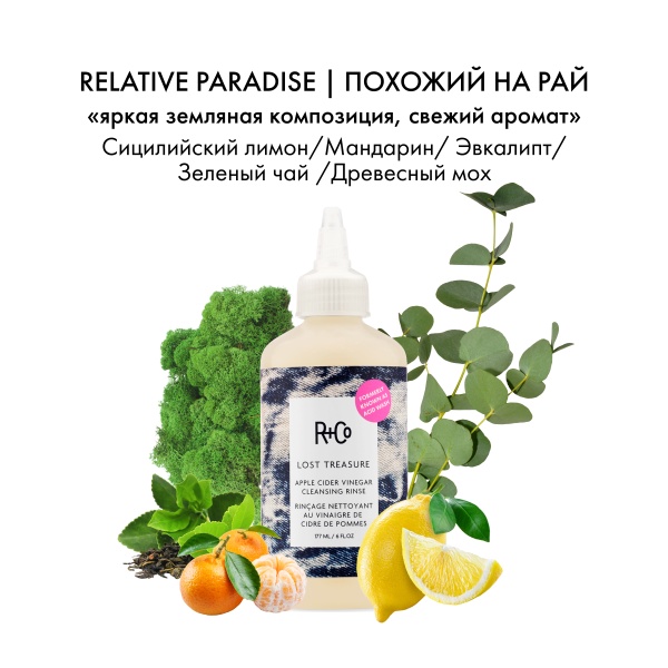 R+Co Шампунь для деликатного очищения с яблочным уксусом Мое сокровище Lost Treasure Apple Cider Vinegar, 177 мл купить - 3