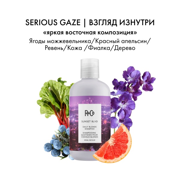 R+Co Шампунь для светлых волос Сансет Бульвар Sunset Blvd Daily Blonde Shampoo, 251 мл купить - 3