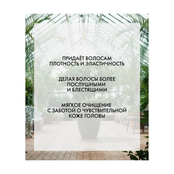 R+Co Успокаивающий шампунь Дивный сад Super Garden Cbd Shampoo, 177 мл купить - 2