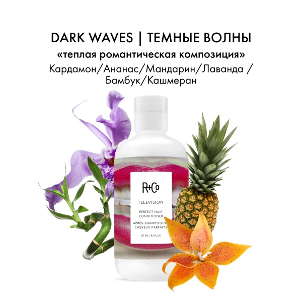 R+Co Кондиционер для совершенства волос Прямой Эфир Television Perfect Hair Conditioner, 251 мл купить - 3