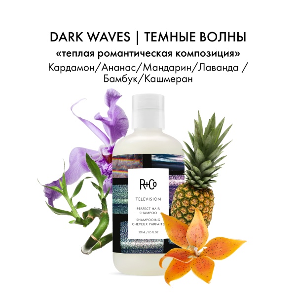 R+Co Шампунь для совершенства волос Прямой Эфир Television Perfect Hair Shampoo, 251 мл купить - 3