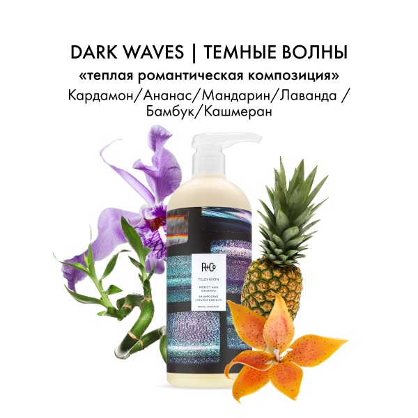 R+Co Шампунь для совершенства волос Прямой Эфир Television Perfect Hair Shampoo, 1000 мл купить - 3