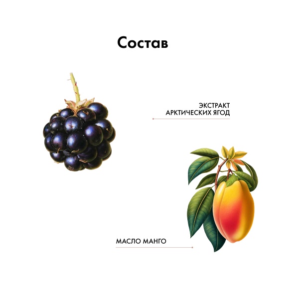 Kydra Le Salon Оттеночная маска с маслом манго и экстрактом арктических ягод Color Boosting Mask, платиновый Platinium, 500 мл купить - 5