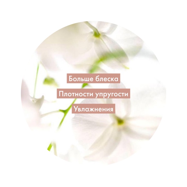 Kydra Le Salon Глосс-гель блеск и уход Jelly Gloss Shine and Dilution Care, прозрачный Glear, 400 мл купить - 2