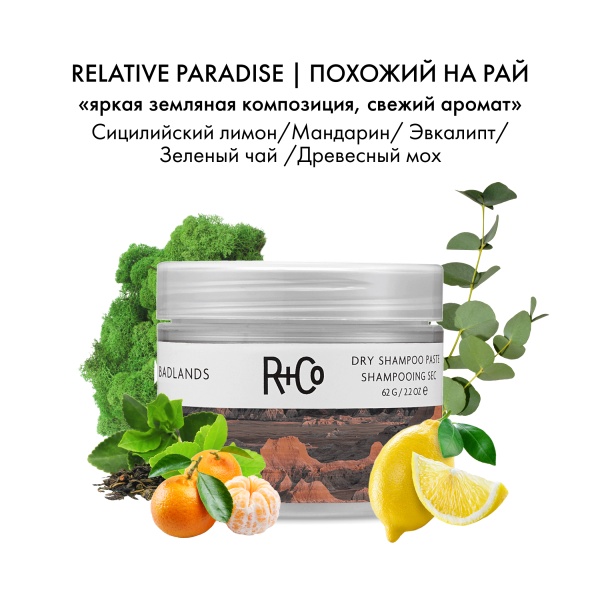 R+Co Сухой шампунь-паста Пустошь Badlands Dry Shampoo Paste, 62 гр купить - 3