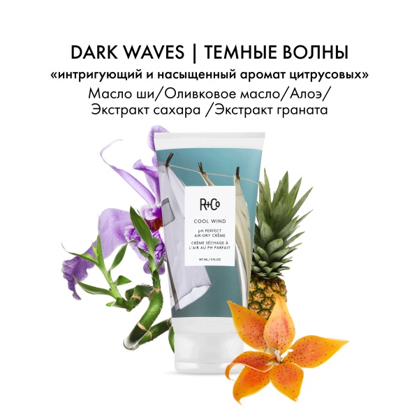 R+Co Крем для восстановления pH баланса волос и создания естественной укладки Ветер в голове Cool Wind pH Perfect Air-Dry Creme, 147 мл купить - 3