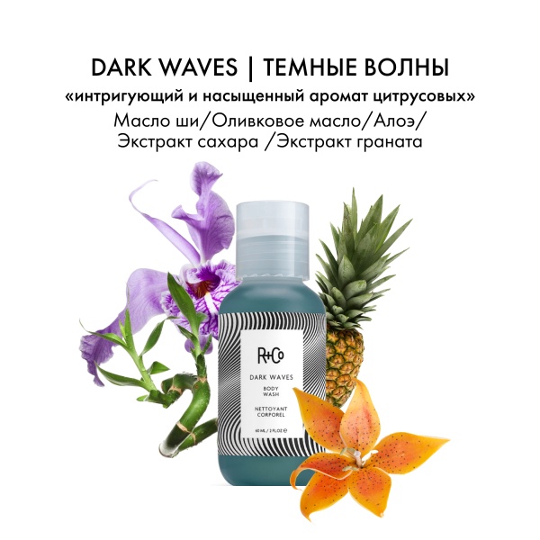 R+Co Гель для душа Темные волны Dark Waves Wash, 60 мл купить - 3
