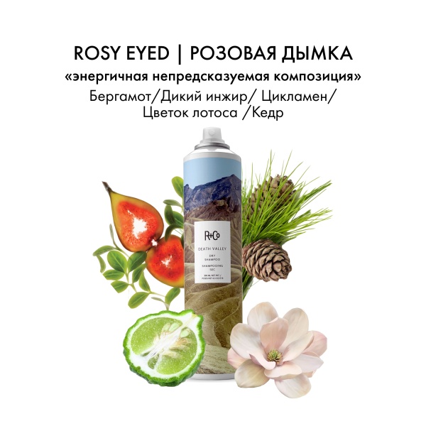 R+Co Сухой спрей-шампунь Пустыня Death Valley Dry Shampoo, 300 мл купить - 3