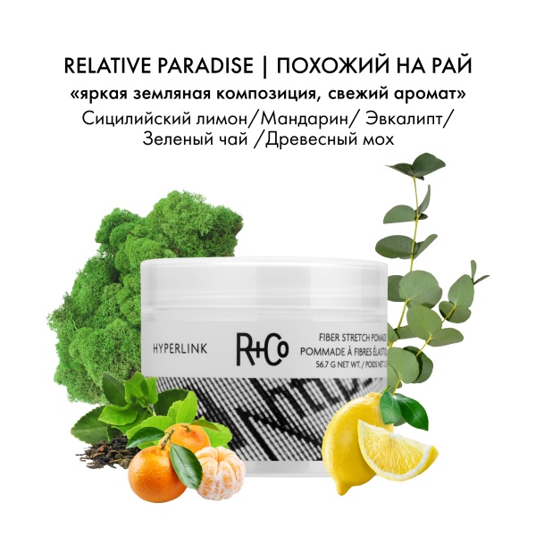 R+Co Помада для укладки подвижной фиксации Гиперссылка Hyperlink Fiber Stretch Pomade, 56.7 гр купить - 3