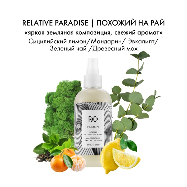R+Co Интенсивный спрей для распутывания волос Разделительная Полоса Pinstripe Intense Detangling Spray, 251 мл купить - 3