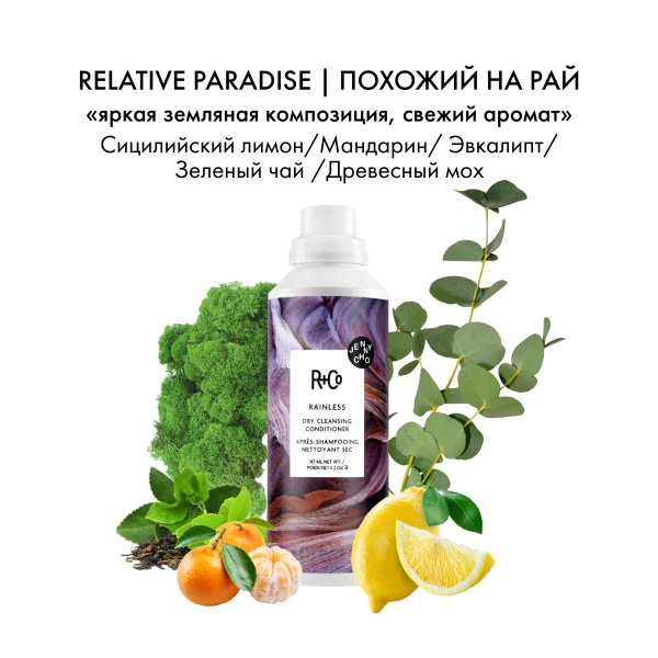 R+Co Сухой шампунь-кондиционер для кудрявых волос Сухой дождь Rainless Dry Cleansing Conditioner, 147 мл купить - 3