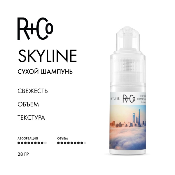 R+Co Сухой шампунь Горизонт Skyline Dry Shampoo Powder, 28 гр купить - 1