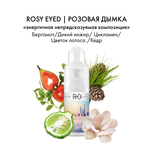 R+Co Сухой шампунь Горизонт Skyline Dry Shampoo Powder, 28 гр купить - 3
