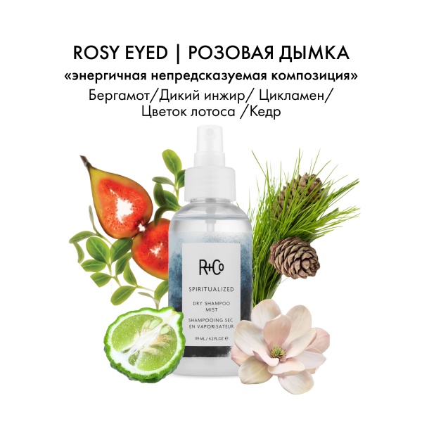 R+Co Жидкий сухой шампунь Экзорцист Spiritualized Dry Shampoo Mist, 124 мл купить - 3