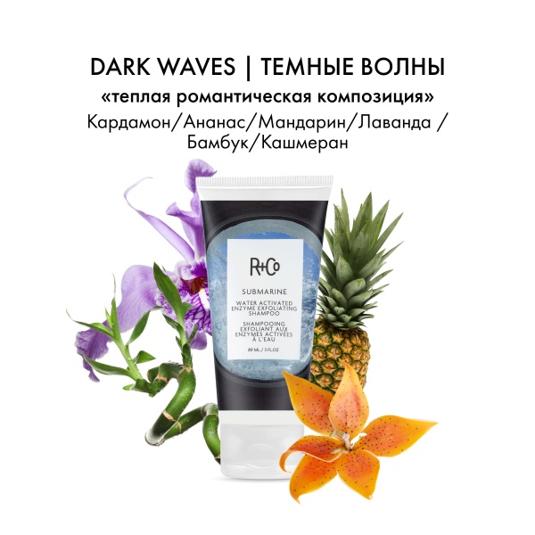 R+Co Шампунь-эксфолиант с гидроактивируемыми энзимами Субмарина Submarine Water Activated Enzyme Exfoliating Shampoo, 89 мл купить - 3