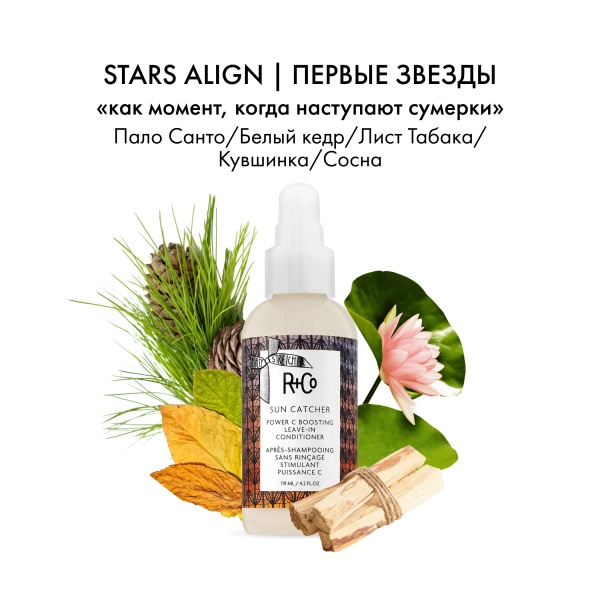 R+Co Несмываемый кондиционер с витамином С Ловец солнца Sun Catcher Power C Boosting Leave-In Conditioner, 124 мл купить - 3