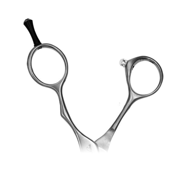 Takara Прямые ножницы Special Prof GP62055, 5.5″ купить - 0