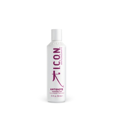 I.C.O.N. Шампунь для волос антиоксидантный FULLY Antioxidant Shampoo, 250 мл купить