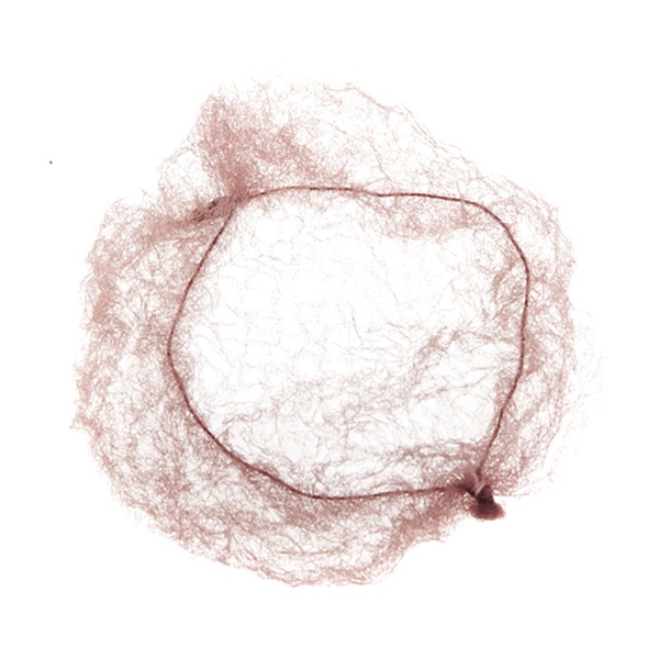 Dewal Pro Сеточка для прически, коричневая, 2 шт купить - 0