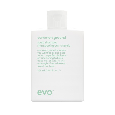 Evo [Балансируй] шампунь для кожи головы Common ground scalp Shampoo, 300 мл купить