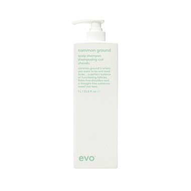Evo [Балансируй] шампунь для кожи головы Common ground scalp Shampoo, 1000 мл купить