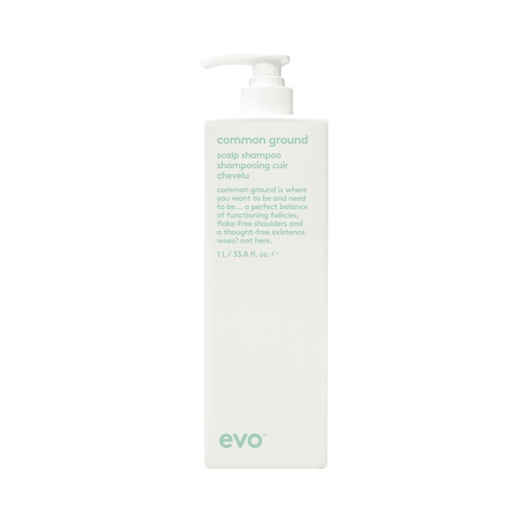 Evo [Балансируй] шампунь для кожи головы Common ground scalp Shampoo, 1000 мл купить - 0