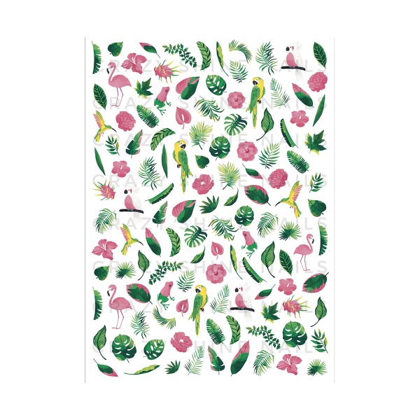 Crazy Shine Nails Слайдер-дизайн, №2021 Тропики купить - 0