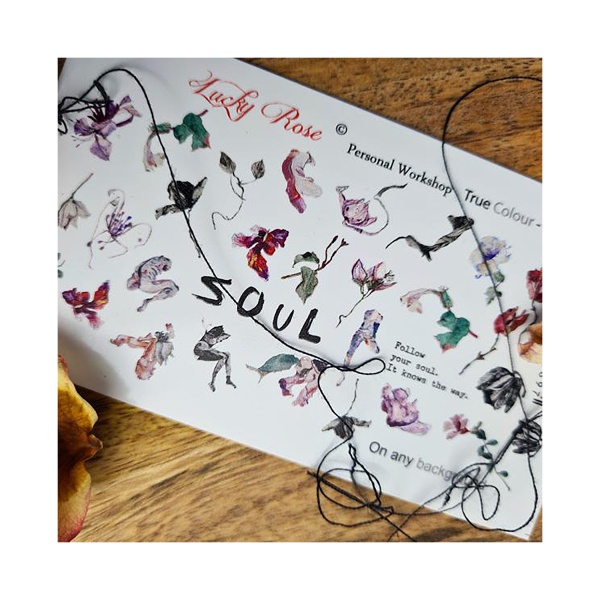 Lucky Rose Слайдер-дизайн True Colour, №093 купить - 0