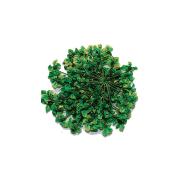 Severina Сухоцветы, #Fm-23 купить - 0