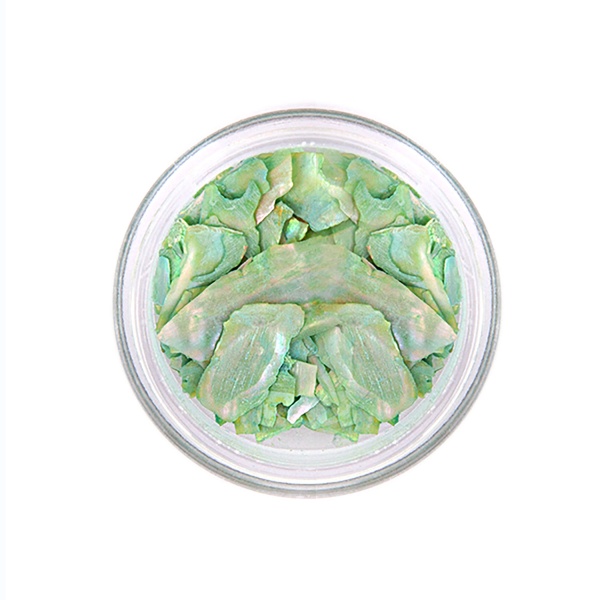 Zoo Nail Art Микс Морская ракушка, №1664, 1 гр купить - 0