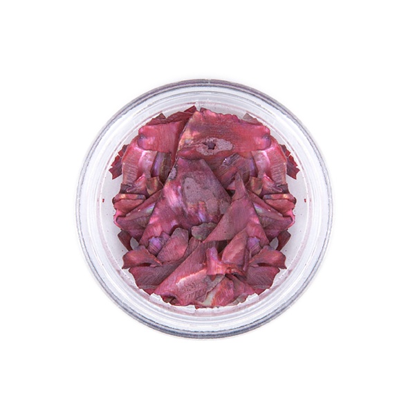 Zoo Nail Art Микс Морская ракушка, №1672, 1 гр купить - 0