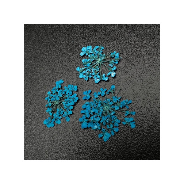 Zoo Nail Art Сухоцветы Любимые цветочки, 1678 купить - 0