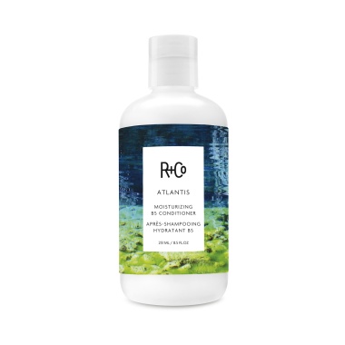 R+Co Кондиционер для увлажнения с витамином Атлантида В5 Atlantis Moisturizing B5 Conditioner, 251 мл купить