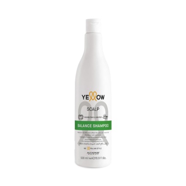 Yellow Professional Балансирующий шампунь YE Balance Shampoo, 500 мл купить