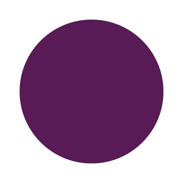 Aeropuffing Гель-лак Led Gel Polish, №006 сливовая эмаль, 8 мл купить - 0