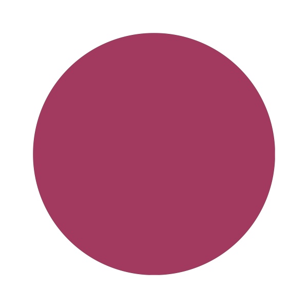 Aeropuffing Гель-лак Led Gel Polish, №028 эмаль цвета марсала, 8 мл купить - 0