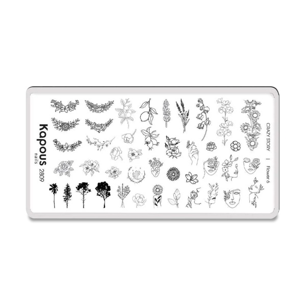 Kapous Пластина для стемпинга Crazy Story, Flower №6 купить - 0